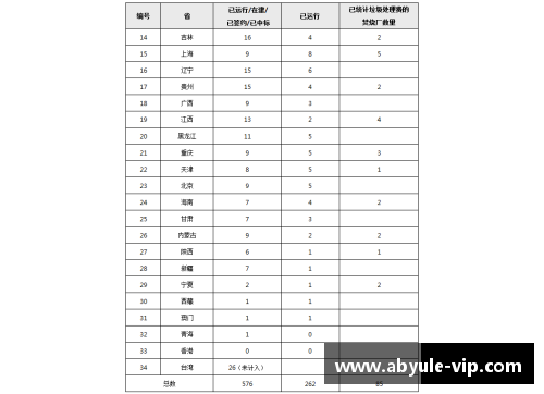 球员特辑：深度剖析顶级球员的职业生涯与技术细节