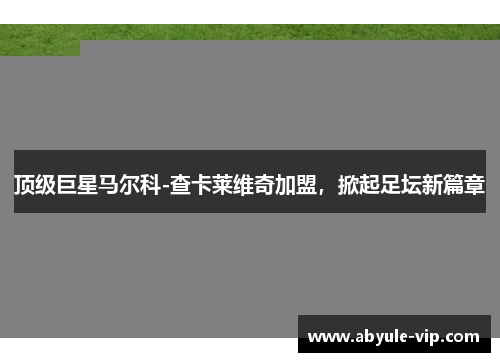 顶级巨星马尔科-查卡莱维奇加盟，掀起足坛新篇章